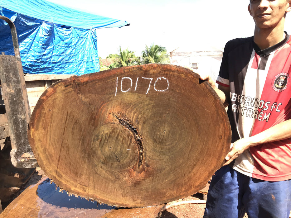 Ipe / Brazilian Walnut #10170 - 2-3/8" x  24"  x 33" FREE SHIPPING within the Contiguous US. freeshipping - Big Wood Slabs