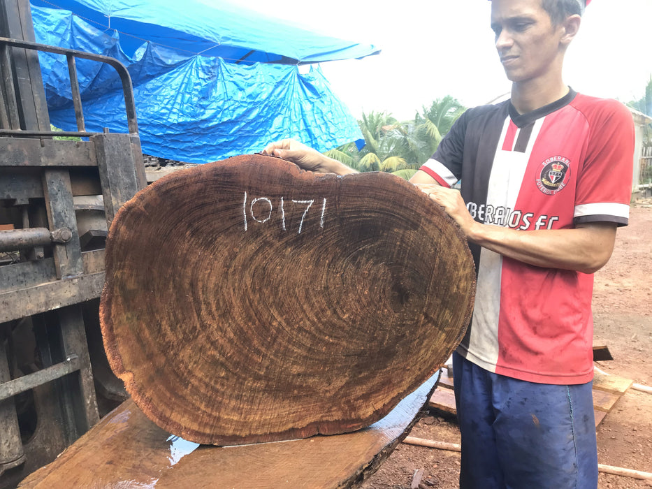 Ipe / Brazilian Walnut #10171 - 2-5/8" x  23"  x 32" FREE SHIPPING within the Contiguous US. freeshipping - Big Wood Slabs