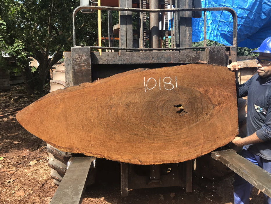 Ipe / Brazilian Walnut #10181 - 2-5/8" x 10" to  29"  x 66" FREE SHIPPING within the Contiguous US. freeshipping - Big Wood Slabs