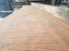 Angelim Pedra #5992- 2-1/2" x 30" to 32" x 79" FREE SHIPPING within the Contiguous US. freeshipping - Big Wood Slabs