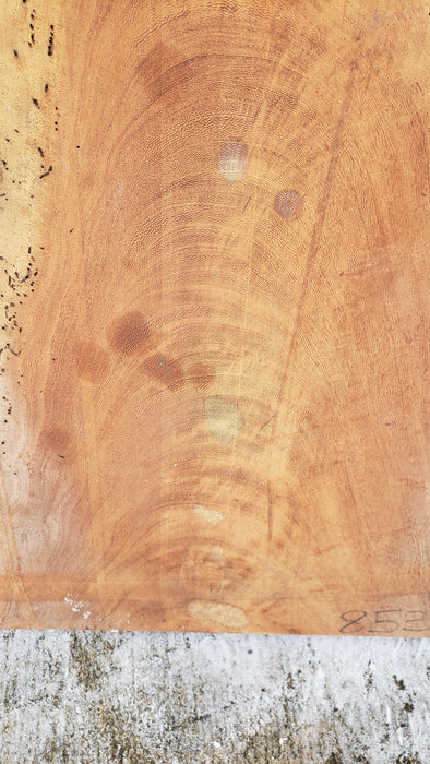 Angelim Pedra #8535 - 2" x 7" x 22" x 34" FREE SHIPPING within the Contiguous US. freeshipping - Big Wood Slabs