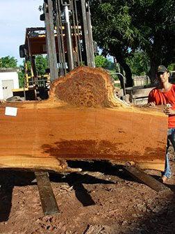 Quaruba #2313- 2-1/2" x 32" to 47" x 85" FREE SHIPPING within the Contiguous US. freeshipping - Big Wood Slabs
