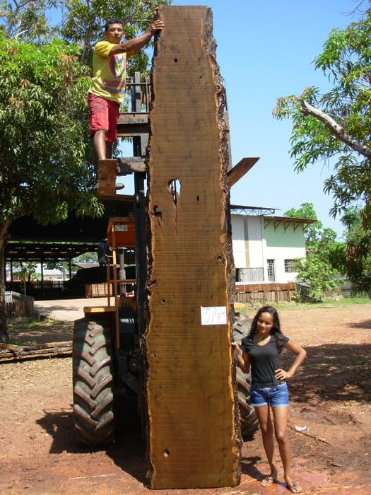 Ipe / Brazilian Walnut #3748 - 2-1/4" x 30" x 169" FREE SHIPPING within the Contiguous US. freeshipping - Big Wood Slabs