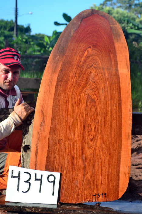 Jatoba / Brazilian Cherry #4349 - 2-1/2" x 23" x 45" FREE SHIPPING within the Contiguous US. freeshipping - Big Wood Slabs