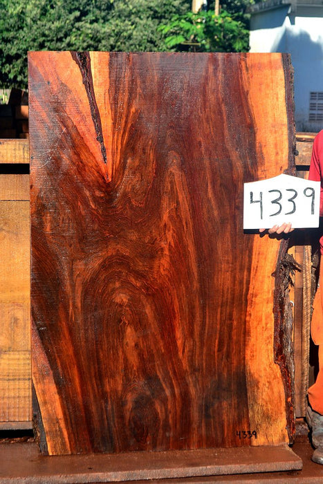 Jatoba / Brazilian Cherry #4339 - 2-1/2" x 40" to 42" x 63" FREE SHIPPING within the Contiguous US. freeshipping - Big Wood Slabs