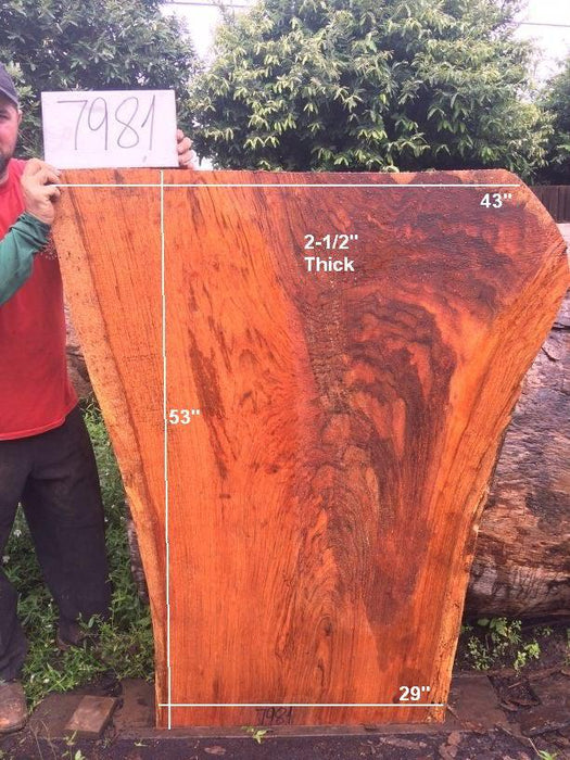 Jatoba / Brazilian Cherry #7981 - 2-1/2" x 29" to 43" x 53" FREE SHIPPING within the Contiguous US. freeshipping - Big Wood Slabs