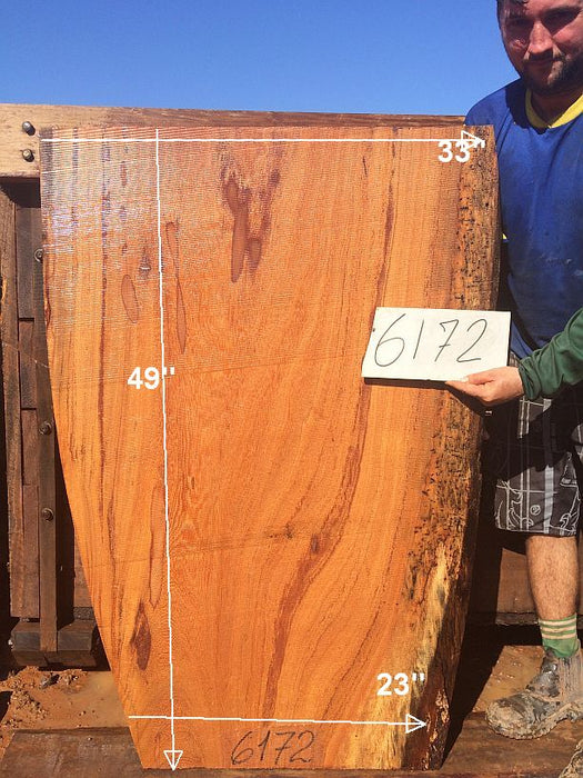 Angelim Pedra #6172 - 2-1/2" x 23" to 33" x 49" FREE SHIPPING within the Contiguous US. freeshipping - Big Wood Slabs