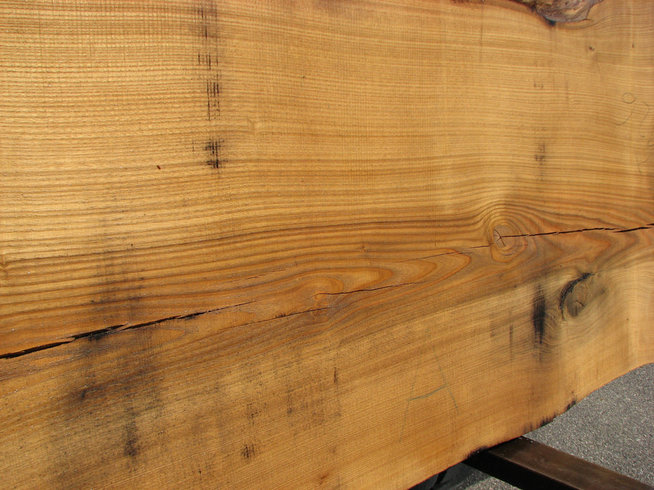 Chestnut, American #4926 (LW) - 2-1/2" x 31" to 43" x 103" FREE SHIPPING within the Contiguous US. freeshipping - Big Wood Slabs