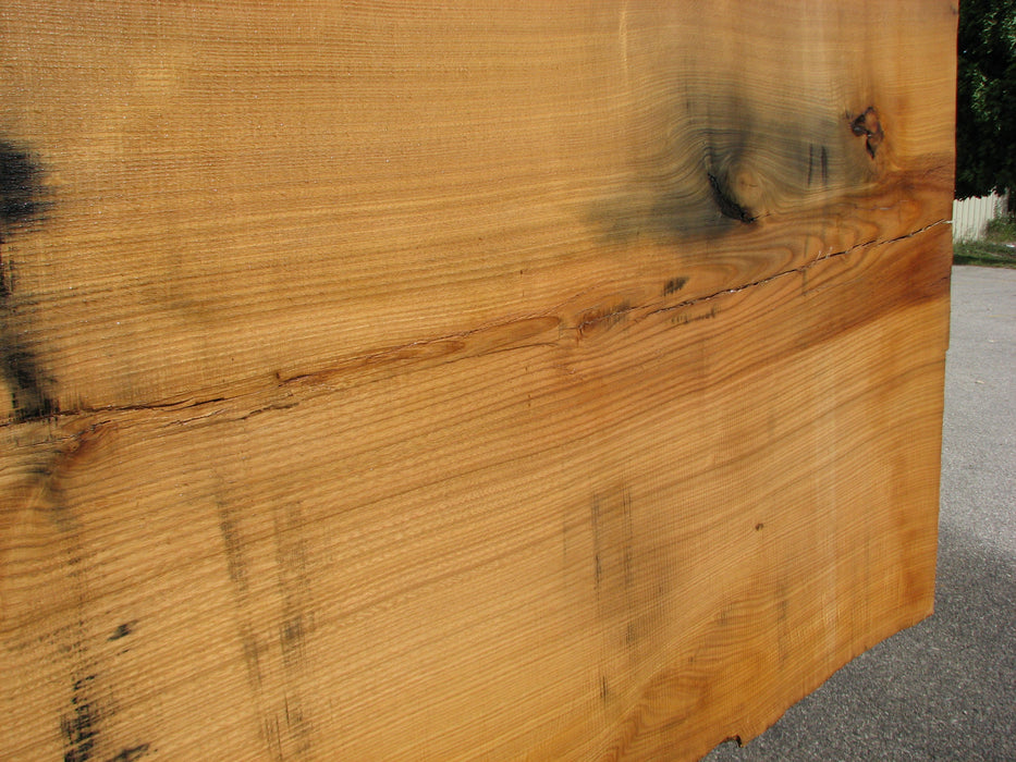 Chestnut, American #4926 (LW) - 2-1/2" x 31" to 43" x 103" FREE SHIPPING within the Contiguous US. freeshipping - Big Wood Slabs