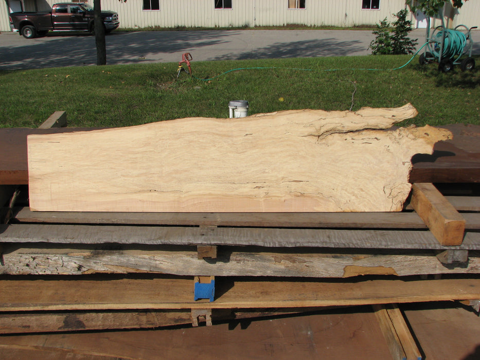 Maple, Spalted #5053 - 1/2" x 9" to 13" x 52" FREE SHIPPING within the Contiguous US. freeshipping - Big Wood Slabs