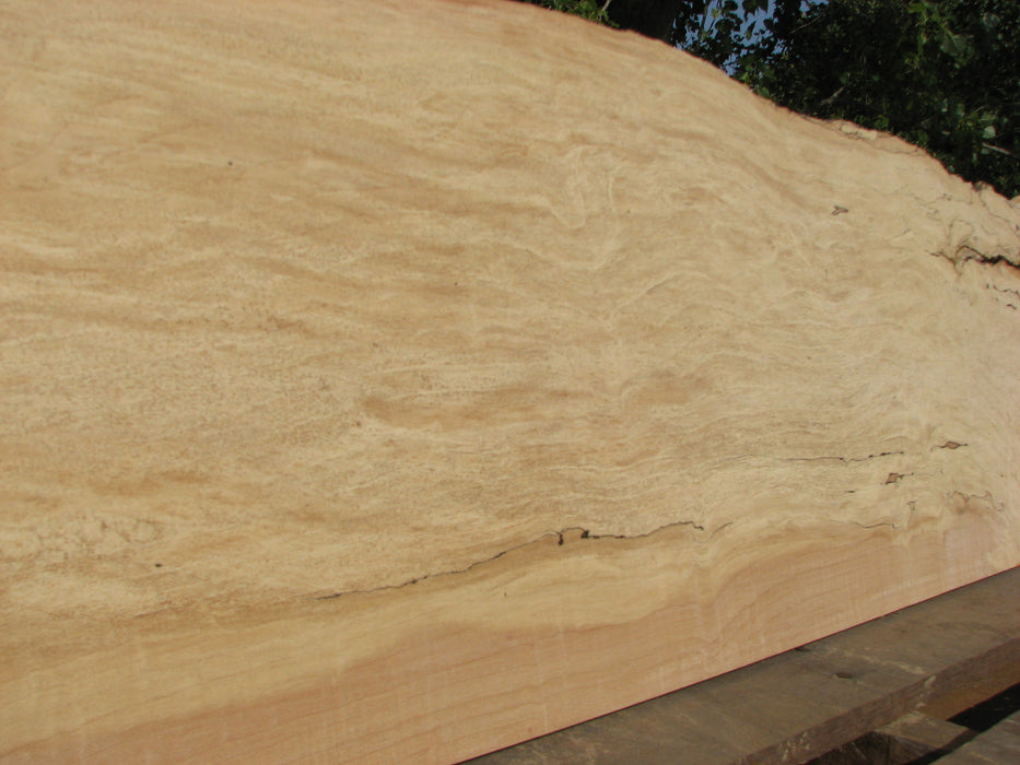 Maple, Spalted #5053 - 1/2" x 9" to 13" x 52" FREE SHIPPING within the Contiguous US. freeshipping - Big Wood Slabs
