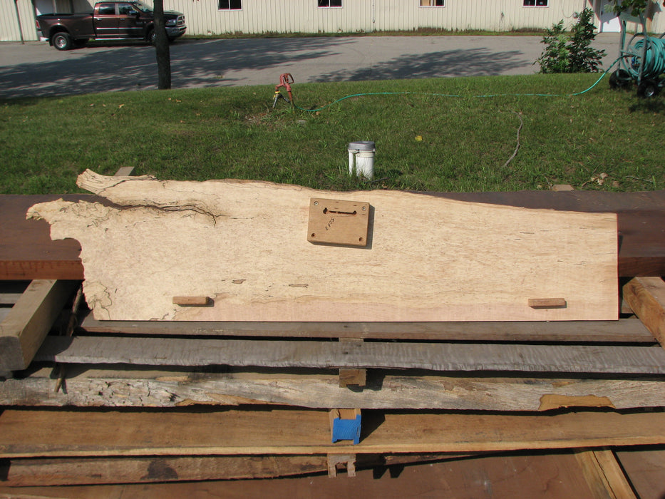 Maple, Spalted #5053 - 1/2" x 9" to 13" x 52" FREE SHIPPING within the Contiguous US. freeshipping - Big Wood Slabs