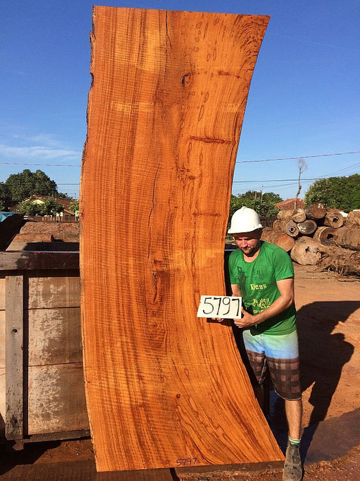 Angelim Pedra #5797 - 3" x 36" to 47" x 114" FREE SHIPPING within the Contiguous US. freeshipping - Big Wood Slabs