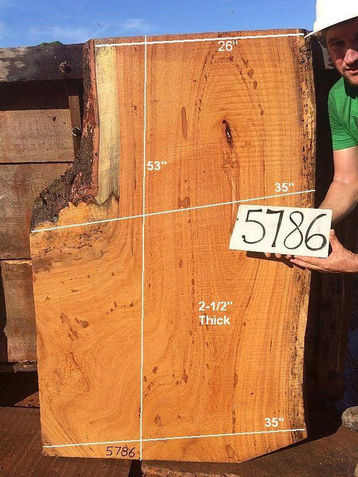 Angelim Pedra #5786 - 2-1/2" x 26" to 35" x 53" FREE SHIPPING within the Contiguous US. freeshipping - Big Wood Slabs