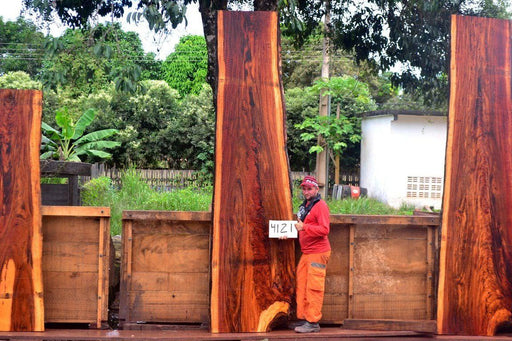 Goncalo Alves / Tigerwood #4121- 2-1/4" x 27" to 36" x 139" FREE SHIPPING within the Contiguous US. freeshipping - Big Wood Slabs