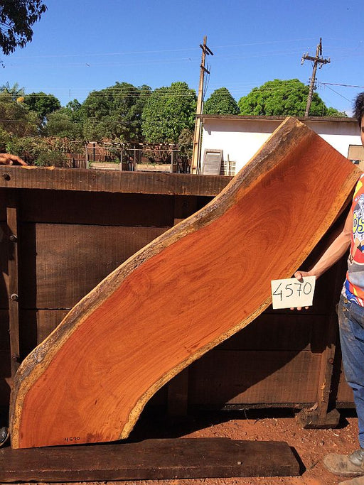 Cumaru / Brazilian Teak #4570 - 3" x 15" to 21" x 68" FREE SHIPPING within the Contiguous US. freeshipping - Big Wood Slabs