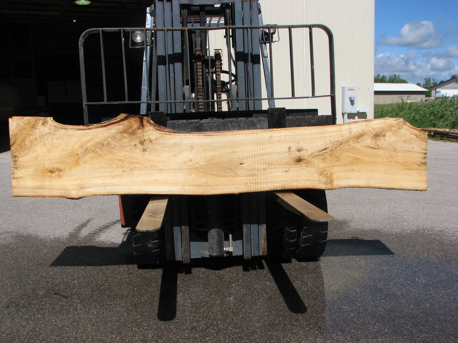 Cottonwood #6461- 2-1/4" x 17 to 23" x 119" FREE SHIPPING within the Contiguous US. freeshipping - Big Wood Slabs