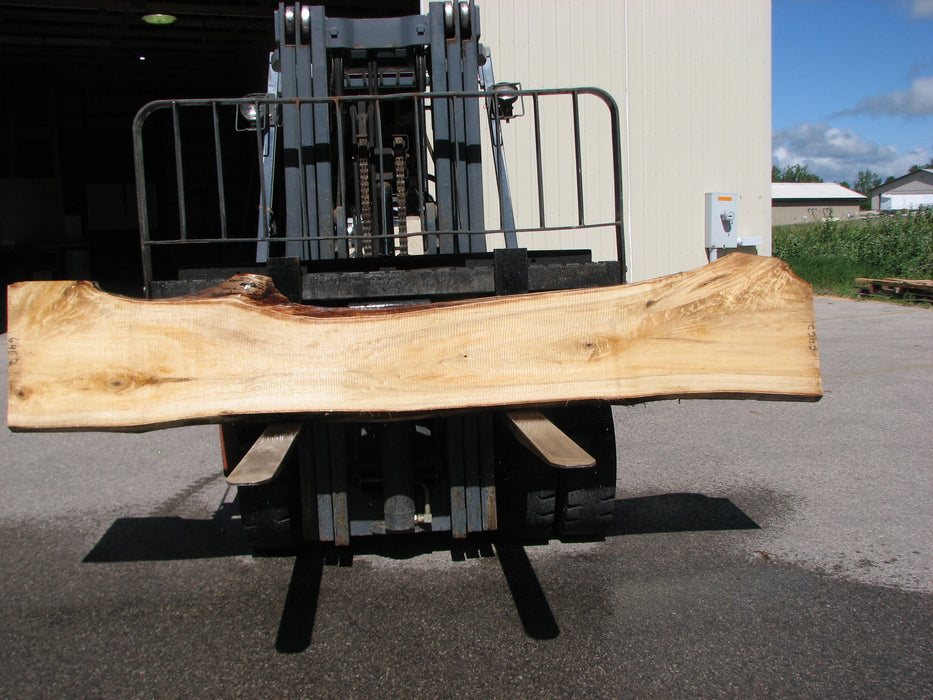 Cottonwood #6462- 2-1/4" x 14 to 22" x 119" FREE SHIPPING within the Contiguous US. freeshipping - Big Wood Slabs