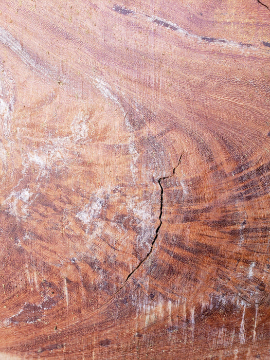 Angelim Pedra #6539 - 2-3/4" x 41" to 60" x 57" FREE SHIPPING within the Contiguous US. freeshipping - Big Wood Slabs