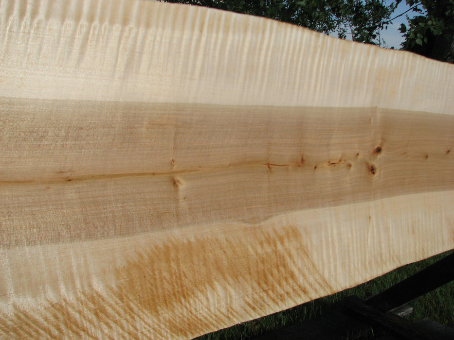 Maple, Curly #6603(JW)- 7/8" x 13" - 15" x 99" FREE SHIPPING within the Contiguous US. freeshipping - Big Wood Slabs