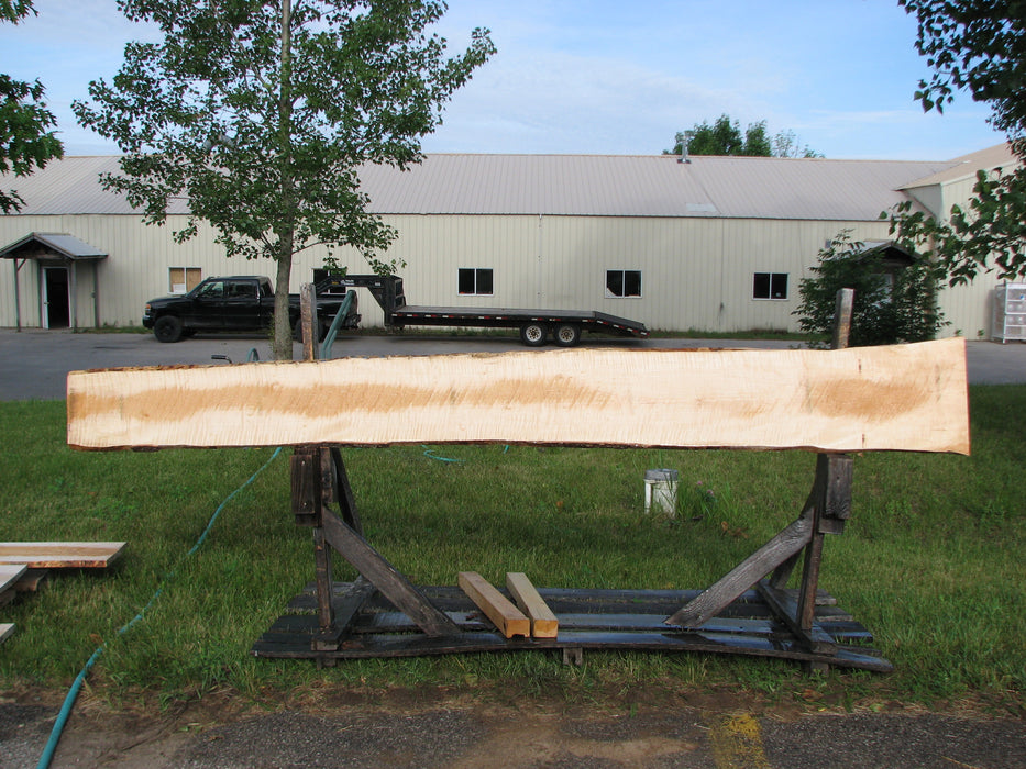 Maple, Curly #6605(JW) - 15/16" x 9-1/2" - 16-1/4" x 123-7/8" FREE SHIPPING within the Contiguous US. freeshipping - Big Wood Slabs