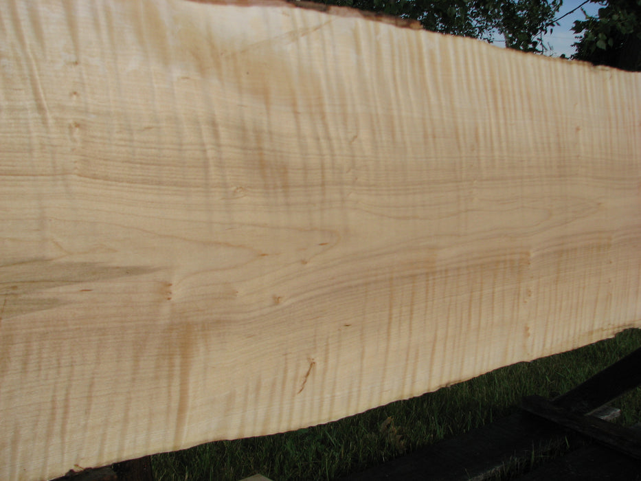 Maple, Curly #6605(JW) - 15/16" x 9-1/2" - 16-1/4" x 123-7/8" FREE SHIPPING within the Contiguous US. freeshipping - Big Wood Slabs