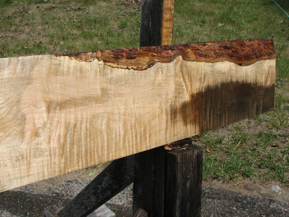 Maple, Curly #6619(JW) - 1-3/8" x 8-1/2" x 100" FREE SHIPPING within the Contiguous US. freeshipping - Big Wood Slabs