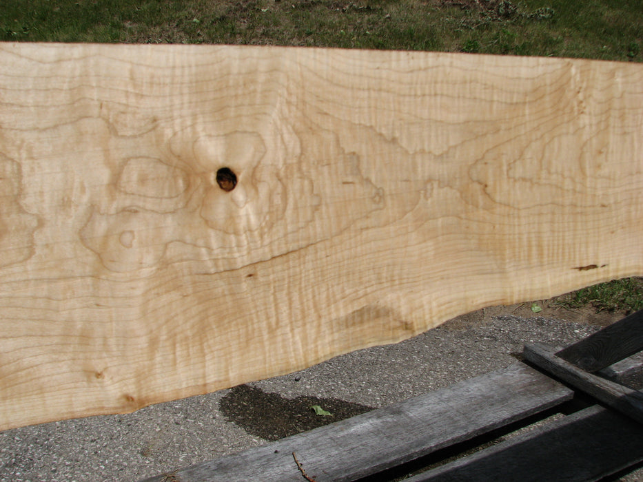 Maple, Curly #6621(JW) - 1-1/4" x 5-1/2" to 8" x 118-7/8" FREE SHIPPING within the Contiguous US. freeshipping - Big Wood Slabs