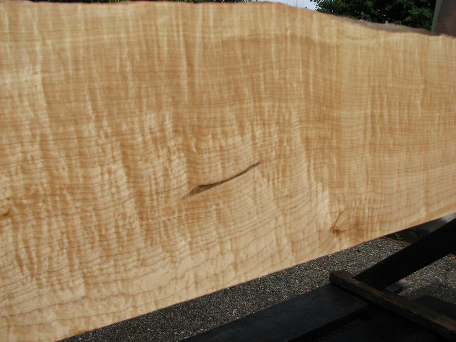 Maple, Figured #6626(JW) - 15/16" x 8-1/8" to 10-1/2" x 104" FREE SHIPPING within the Contiguous US. freeshipping - Big Wood Slabs
