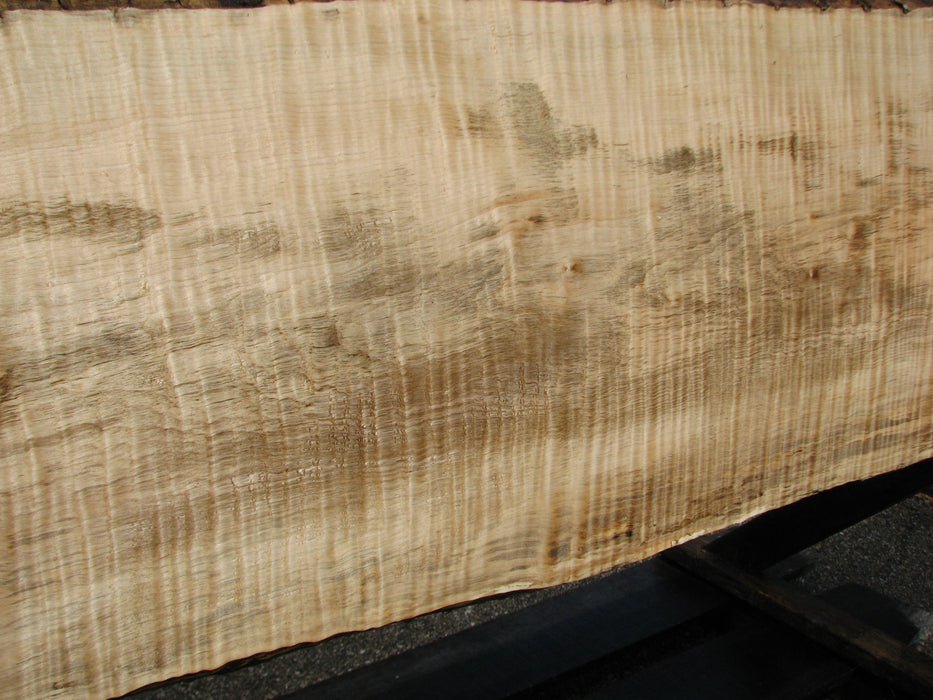 Maple, Curly #6628(JW) - 1-13/16" x 8-3/4" to 16-1/2" x 126" FREE SHIPPING within the Contiguous US. freeshipping - Big Wood Slabs
