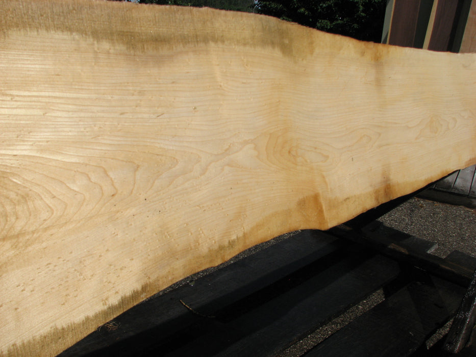 Maple, Birds Eye #6643(JW) - 1-9/16" x 2-3/4" to 12" x 99" FREE SHIPPING within the Contiguous US. freeshipping - Big Wood Slabs