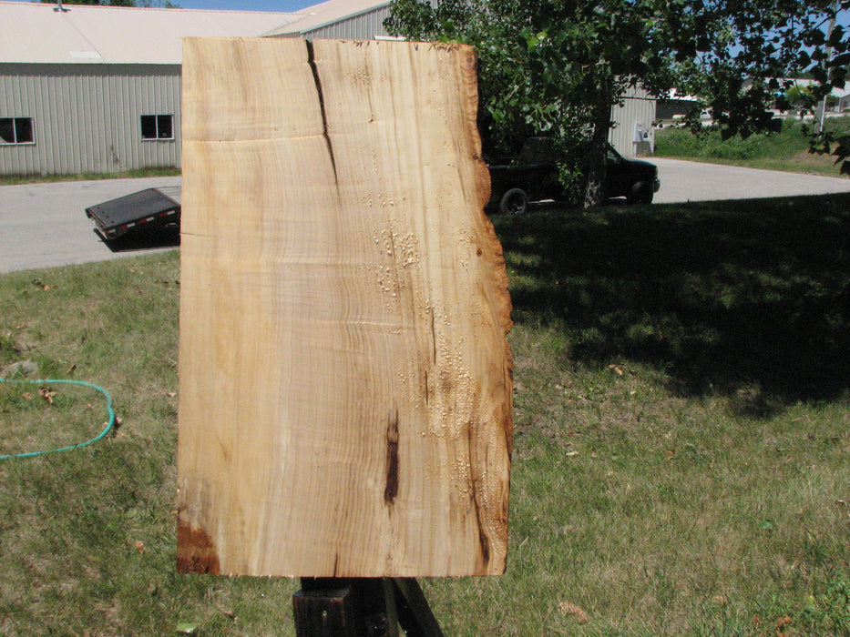 Box Elder #6671 - 1-3/4" x 16-1/4" to 19-1/2" x 31" FREE SHIPPING within the Contiguous US. freeshipping - Big Wood Slabs