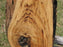 Cottonwood #6674 - 2-3/8" x 14-1/4" x 25-3/8" FREE SHIPPING within the Contiguous US. freeshipping - Big Wood Slabs