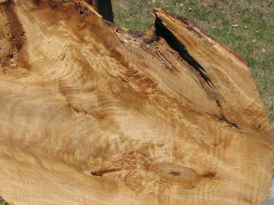 Cottonwood #6675 - 2-1/2" x 19-1/4" x 24-1/2" FREE SHIPPING within the Contiguous US. freeshipping - Big Wood Slabs