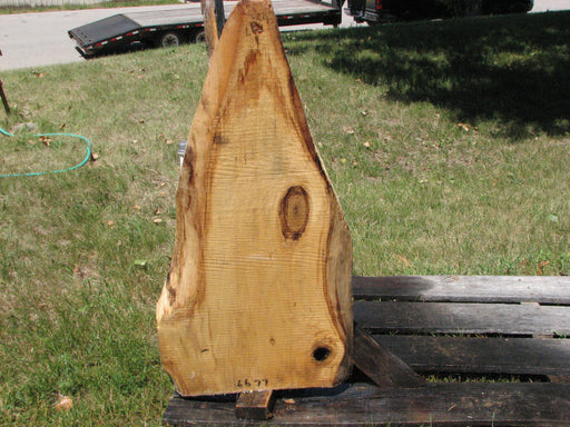 Cottonwood #6677 - 2-1/2" x 19-3/8" x 40-1/2" FREE SHIPPING within the Contiguous US. freeshipping - Big Wood Slabs