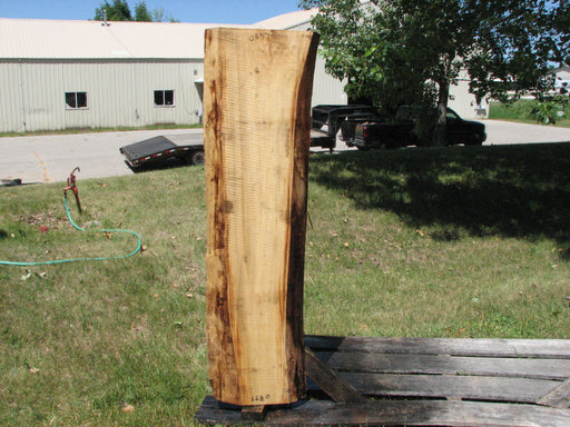 Cottonwood #6680 - 2-1/2" x 8" to 14" x 59" FREE SHIPPING within the Contiguous US. freeshipping - Big Wood Slabs