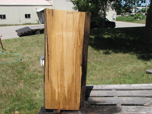 Cottonwood #6681 - 2-1/2" x 17-1/4" to 18" x 48-1/2" FREE SHIPPING within the Contiguous US. freeshipping - Big Wood Slabs