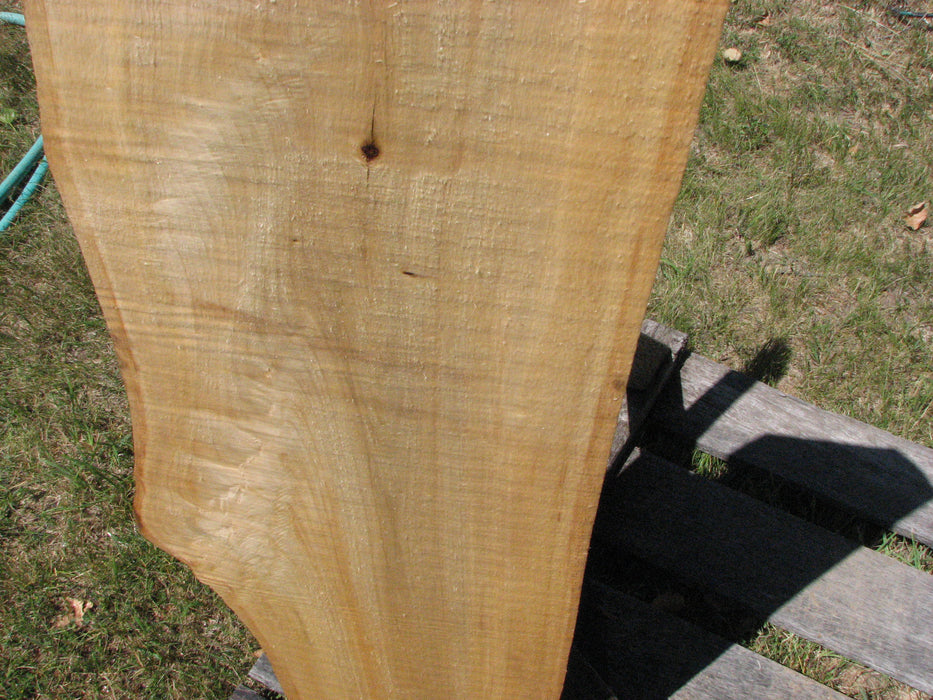 Cottonwood #6683 - 3-3/4" x 5" to 9" x 48-1/2" FREE SHIPPING within the Contiguous US. freeshipping - Big Wood Slabs