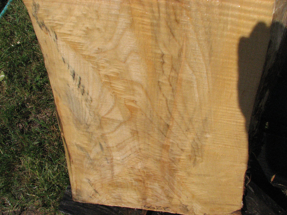 Cottonwood #6688 - 2-1/2" x 8-1/2" to 20-1/2" x 41-1/2" FREE SHIPPING within the Contiguous US. freeshipping - Big Wood Slabs