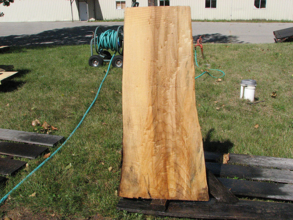 Cottonwood #6688 - 2-1/2" x 8-1/2" to 20-1/2" x 41-1/2" FREE SHIPPING within the Contiguous US. freeshipping - Big Wood Slabs