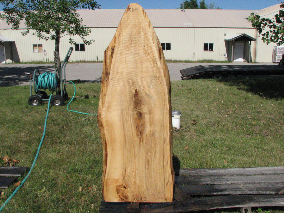 Cottonwood #6692 - 2-1/2" x 19-3/4" x 55" FREE SHIPPING within the Contiguous US. freeshipping - Big Wood Slabs