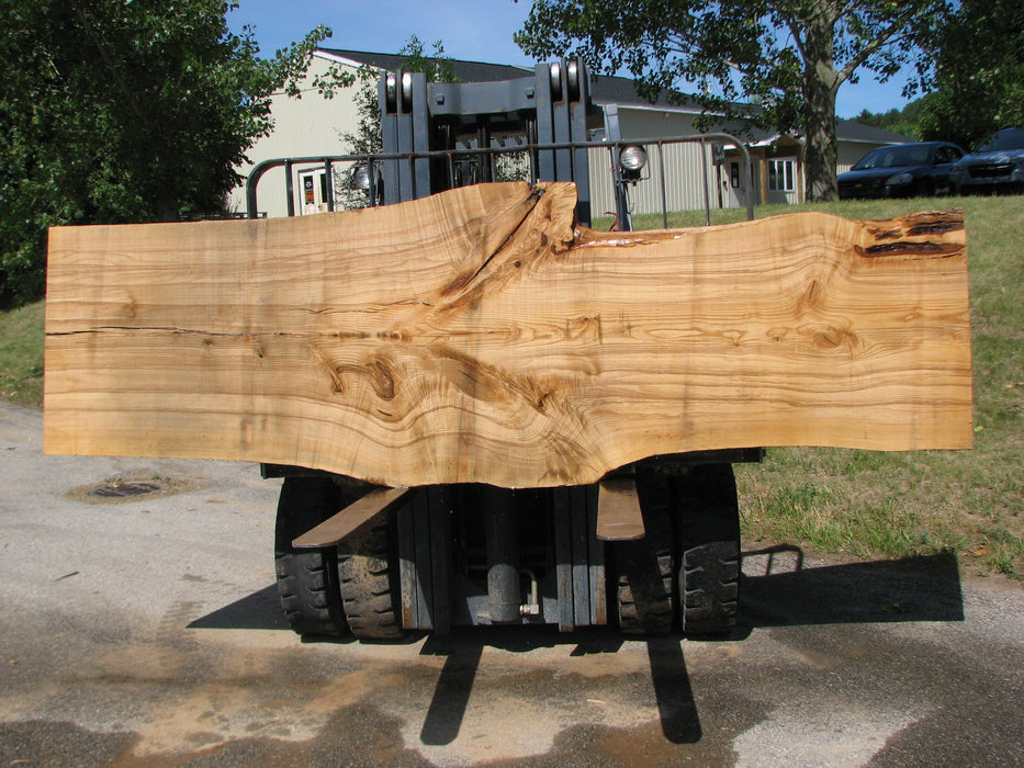 Ash #6699(JS)- 3" x 29-1/2" to 41-1/2" x 131" FREE SHIPPING within the Contiguous US. freeshipping - Big Wood Slabs