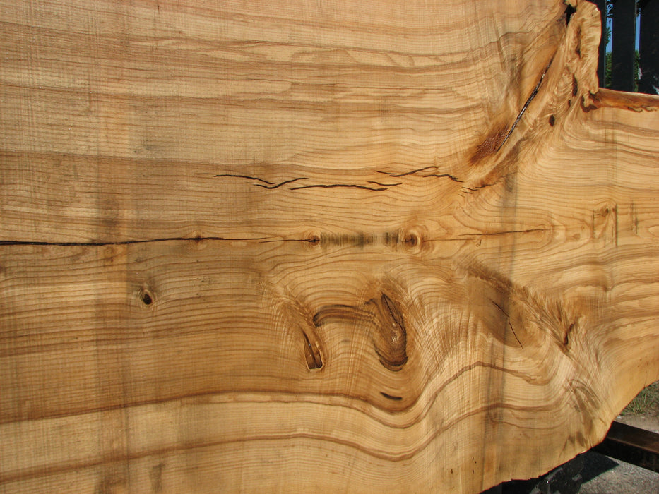 Ash #6699(JS)- 3" x 29-1/2" to 41-1/2" x 131" FREE SHIPPING within the Contiguous US. freeshipping - Big Wood Slabs