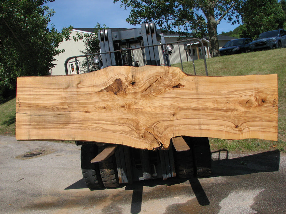 Ash #6699(JS)- 3" x 29-1/2" to 41-1/2" x 131" FREE SHIPPING within the Contiguous US. freeshipping - Big Wood Slabs