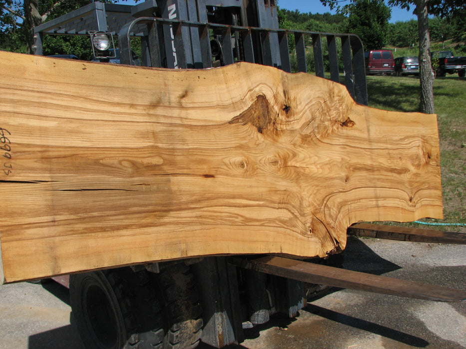 Ash #6699(JS)- 3" x 29-1/2" to 41-1/2" x 131" FREE SHIPPING within the Contiguous US. freeshipping - Big Wood Slabs