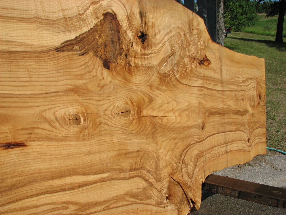 Ash #6699(JS)- 3" x 29-1/2" to 41-1/2" x 131" FREE SHIPPING within the Contiguous US. freeshipping - Big Wood Slabs