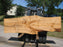 Ash #6800(JS) - 3" x 28-1/2" to 42-1/4" x 131" FREE SHIPPING within the Contiguous US. freeshipping - Big Wood Slabs
