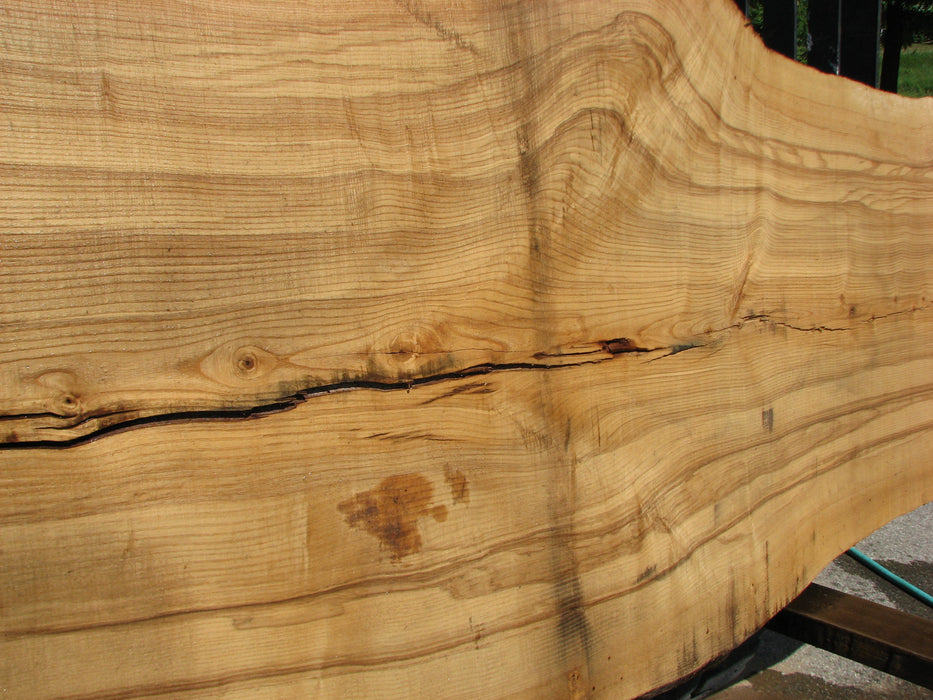 Ash #6800(JS) - 3" x 28-1/2" to 42-1/4" x 131" FREE SHIPPING within the Contiguous US. freeshipping - Big Wood Slabs