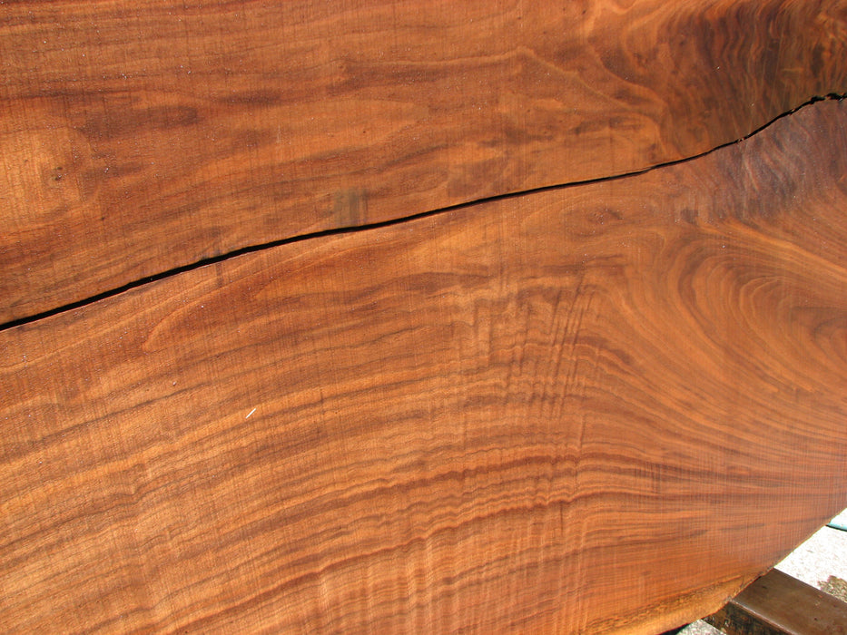 Walnut, American #6804(JS) - 3" x 34" to 48" x 68-1/2" FREE SHIPPING within the Contiguous US. freeshipping - Big Wood Slabs