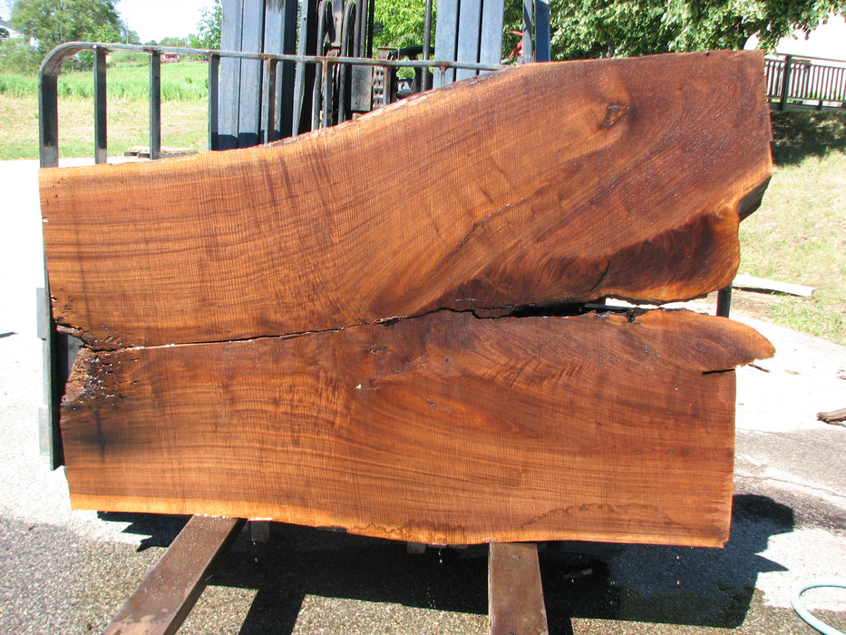 Walnut, American #6804(JS) - 3" x 34" to 48" x 68-1/2" FREE SHIPPING within the Contiguous US. freeshipping - Big Wood Slabs